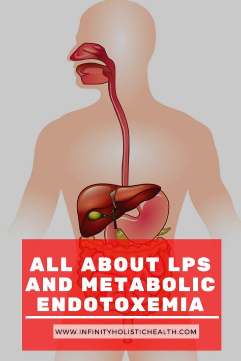 What Is Leaky Gut Symptoms, Gut Motility, Rebuild Gut After Antibiotics, L-methylfolate Benefits, Gram Negative Bacteria, Improve Gut Motility, Leaky Gut, Lps, Health