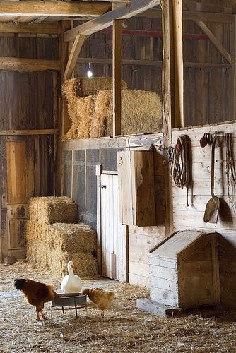 Barn inside Hay Barn, Country Barns, Dream Barn, Hay Bales, Winter Light, Farm Barn, Hus Inspiration, Farms Living, Ranch Life