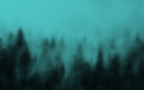 #twilight #twilightcore #fairygrunge #fairycore Teal Wallpaper Desktop, Beautiful Wallpapers Backgrounds For Pc, Twilightcore Wallpaper, Fairycore Wallpaper, Macbook Air Wallpaper, Grunge Pictures, Dark Fairycore, Wallpaper Notebook, Dark Tree