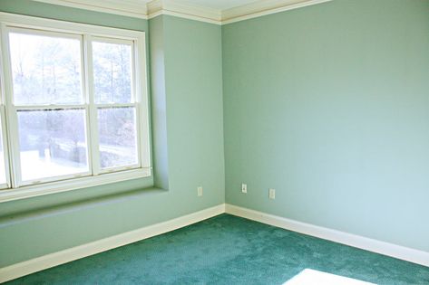 Home Decor Trends That Should Stay In The Past – Page 52 – Herald Weekly Dark Green Carpet, Bedroom Inspirations Green, Aqua Living Room, Light Green Walls, Painting Carpet, Teal Walls, Cheap Carpet Runners, Green Walls, Carpet Styles