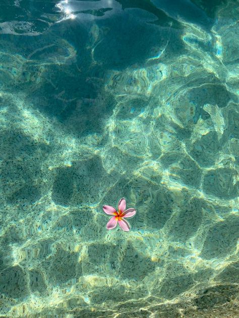 Sea Vibe, Tapeta Z Hello Kitty, Nautical Aesthetic, Floating Flower, Ocean Girl, Cute Summer Wallpapers, Whatsapp Wallpaper, Floating Flowers, Ocean Vibes