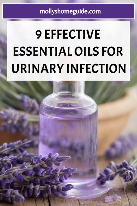 Discover the power of essential oils for urinary tract health with these effective blends you can make at home. Bladder infection support blends using natural antibiotics like juniper berry essential oil can provide fast relief without the need for antibiotics. Explore the best essential oils for urinary tract infection such as tea tree oil and create your own UTI relief solutions. Treat and prevent urinary tract infections naturally by incorporating essential oils into your routine. Say goodbye Homemade Essentials, Urinary Infection, Juniper Berry Essential Oil, Urinary Tract Health, Oregano Essential Oil, Oils For Health, Essential Oils Herbs, Bergamot Essential Oil, Natural Antibiotics