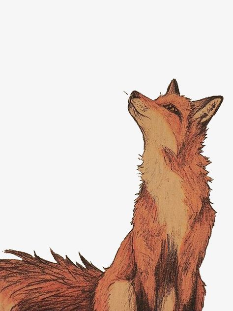 I Know Places, Fur Background, Dog Autumn, Fox Clipart, Halloween Hoodies, Photo Cutout, Fox Drawing, Scrapbook Printing, Fox Illustration