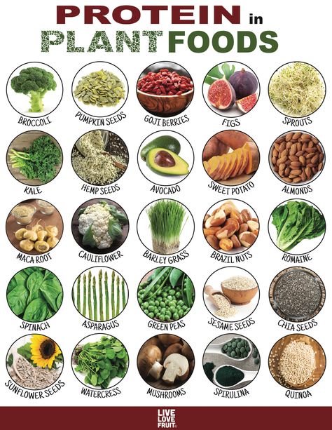 When you think of protein, the first thing that comes to mind is probably meat, eggs and cheese, right? In fact, there are many protein-packed plant foods that contain a variety of amino acids, which helps build healthy muscle. Plats Healthy, Makanan Diet, Food Info, Diet Keto, Plant Protein, Vegan Protein, Food Facts, Plant Based Protein, Plant Food