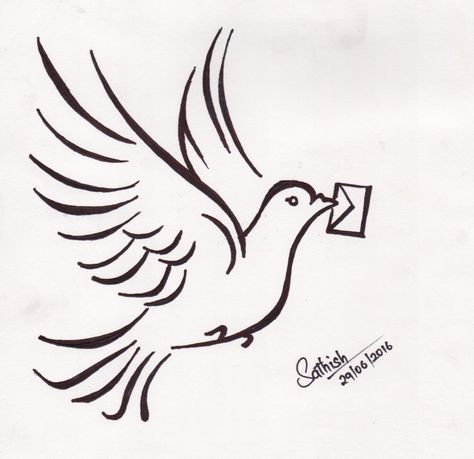 Pigeon Art! #sathishlive #art #sketch #InstaPic #Drawing #Picture #Bird #Letter #pigeon #pura #paravai #pen #pendrawing #pendrawings #pencil #live Pigeon Line Art, Pigeon Art Drawing, Pigeon Sketch, Pigeon Drawing, Pigeon Tattoo, Pigeon Logo, Pigeon Art, Embroidery Jeans Diy, White Pigeon