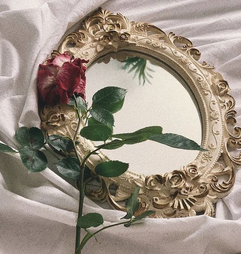 Mirror Astethic, Magic Mirror Aesthetic, Vintage Mirror Aesthetic, Oc Interactions, Rosie Core, Espejos Aesthetic, Morgan Core, Mirror With Flowers, School Presentation