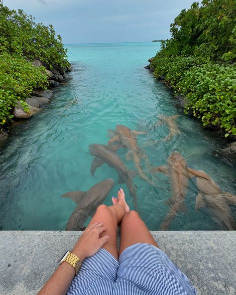 Unfiltered moments from the Maldives 🐬🌺🥥🌴👙 Swipe to see a very REAL moment 😂 ** Unpopular opinion - Maldives isn’t ALL sunshine’s & rainbows 🌈 #maldives #maldivesislands #maldivestrip #maldivesmoments Maldives Birthday, Maldives Aesthetic, Maldives Trip, Maldives Vacation, Maldives Island, Maldives Travel, Vacation Planner, Unpopular Opinion, The Maldives