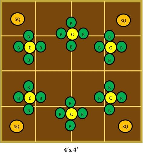 3 Sisters Garden, Companion Gardening, Plant Notes, The Three Sisters, Regenerative Agriculture, Veg Patch, Garden Layout Vegetable, Garden Of Earthly Delights, Planting Plan