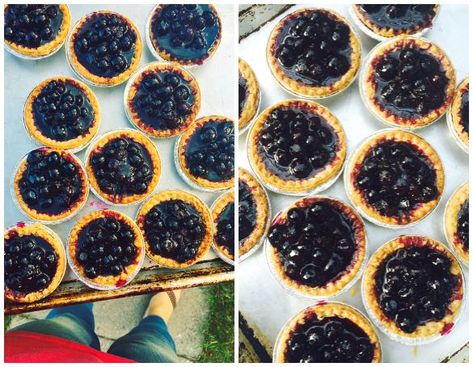 Super Simple Blueberry Tarts - Dinner With Julie Blueberry Tart Recipe, Frozen Tart Shells, Blueberry Tarts, Tarts Recipe, Blueberry Tart, Black Sesame Ice Cream, Tart Baking, Healthy Recipes Easy Snacks, Cake Games