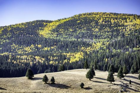 This Small Town in New Mexico Is Hiding 3 National Parks and Sites — Plus Ancient Ruins and a Volcanic Caldera Underground Restaurant, Grand Canyon Caverns, Los Alamos New Mexico, Lower Antelope Canyon, Havasu Falls, Horseback Rider, Land Of Enchantment, Grand Canyon National Park, Ancient Ruins