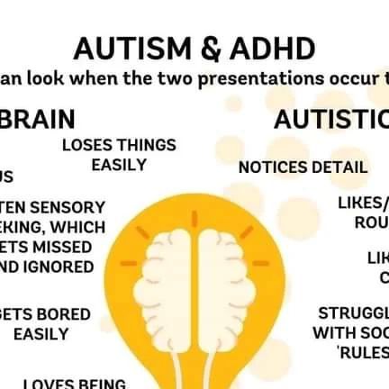 Pathological Demand Avoidance, 12th Birthday Party Ideas, Early Intervention Speech Therapy, Spectrum Disorder, Mental And Emotional Health, Emotional Health