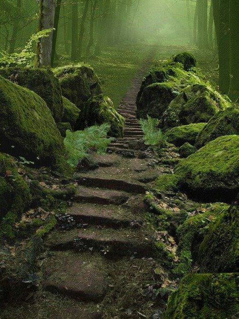 Sherwood Forest, Nottingham England Sherwood Forest, The Secret Garden, Alam Yang Indah, Magical Places, Robin Hood, Nature Beauty, In The Woods, A Walk, Beautiful World