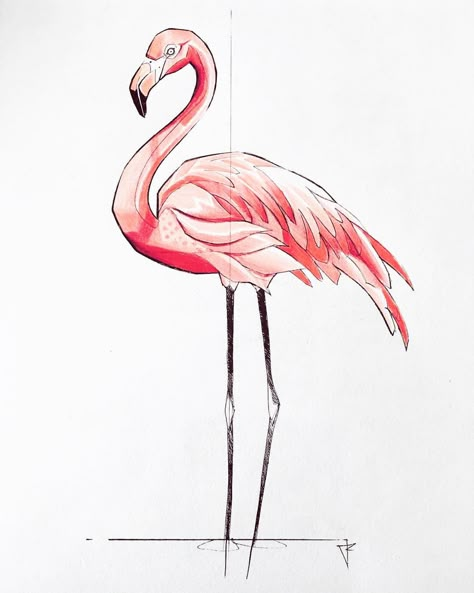 Flamingo Illustration Art, Flamingo Bird Drawing, Flamingo Art Drawing, Flamingo Sketch Drawings, Simple Flamingo Drawing, Flamingo Drawing Pencil, How To Draw A Flamingo, Drawings Of Flamingos, Easy Flamingo Drawing