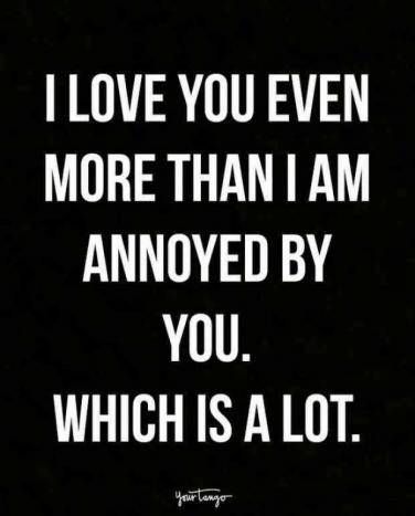 I love you even more than I am annoyed by you. Which is a lot. Funny Couple Quotes, Cute Funny Love Quotes, Silly Love Quotes, Love Quotes For Him Funny, Husband Quotes Funny, Marriage Quotes Funny, Silly Love, Couple Quotes Funny, Funny Couple