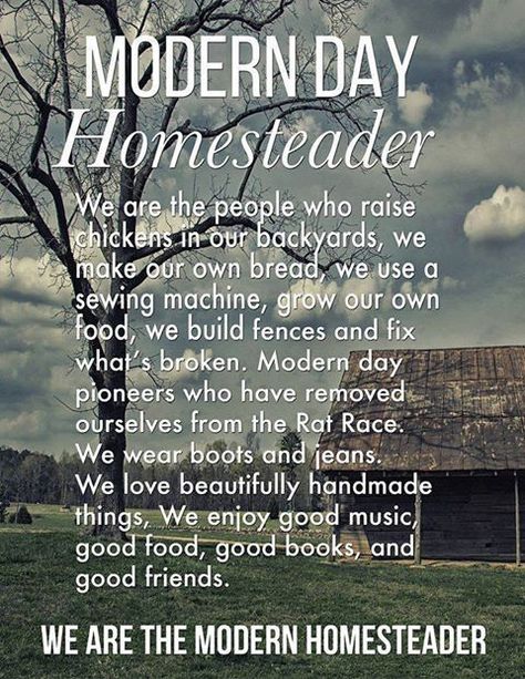 Modern Homesteading, Homestead Farm, Homestead Gardens, Future Farms, Homesteading Skills, Urban Homesteading, Living Off The Land, Homestead Survival, Farms Living