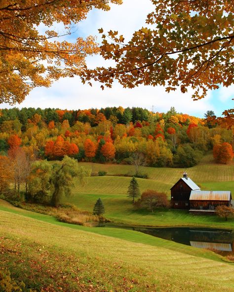 A perfect autumn day in Vermont 🍁 Some of my favorite photos I took of Sleepy Hollow Farm near Woodstock, VT a few years ago 🍂 Follow for more autumn in New England inspiration 🍂 . . . . . 🏷️ #autumnaesthetic #autumn #autumnleaves #autumnvibes #autumnmood #septembervibes #bermonths #autumnweather #september #autumncolors #fallvibes #octobermood #cozyseason #cozycore #cozystyle #cozyaesthetic #trending #fallvibes🍁 #autumnfeels #autumnvibes🍁 #cozyvibes #fallcolors #fallfoliage #cozymood #cozyh... Maine Autumn, Autumn In Vermont, Mountain Man Clothing, Fall Ios, Autumn Farm, Woodstock Vt, Favourite Season, Tree Pruning, Autumn Love