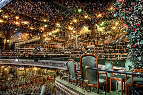 Elgin and Winter Garden Theatre Theatre Photoshoot, Winter Garden Theatre, Theatre Interior, Ontario Travel, Beautiful Canada, Biophilic Design, Skyline View, Performing Arts Center, Arts Center