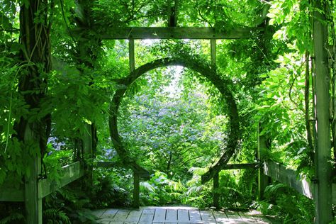 Vertical Planting, Pine Garden, Attic Window, Gate Ideas, Building A Pergola, Book Giveaway, Garden Vines, Vertical Gardening, Garden Arbor