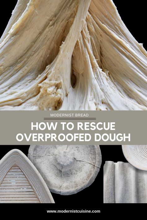 It's easy to lose track of time and forget about your dough in the proofing stage, especially if you're multitasking or prepping other things in the kitchen. While working on Modernist Bread, we developed a technique for saving overproofed dough. In case it does get overproofed, you can revive it instead of throwing it out. Check out our blog for a bread tip that we like to call dough CPR. Fail Proof Sour Dough, Overproofed Vs Underproofed Sourdough, What To Do With Overproofed Sourdough, Over Proofed Sourdough, Overproofed Sourdough Recipes, Overproofed Sourdough, Frozen Dough Recipes, Artesian Bread, Dough Proofing