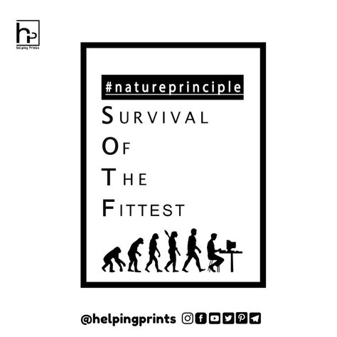 Comment If You Buy This Product Survival Of The Fittest, Calm Artwork, Keep Calm Artwork, Home Decor Decals, Frame, Home Decor, Home Décor