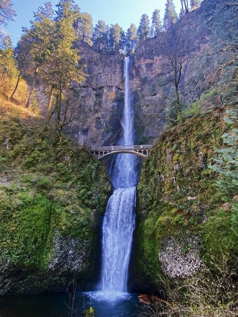 Pacific Northwest Aesthetic, Witches Potions, Northwest Aesthetic, Spring Break Road Trip, Cousins Trip, Pnw Fall, House Scenery, Oregon Hiking, Multnomah Falls Oregon