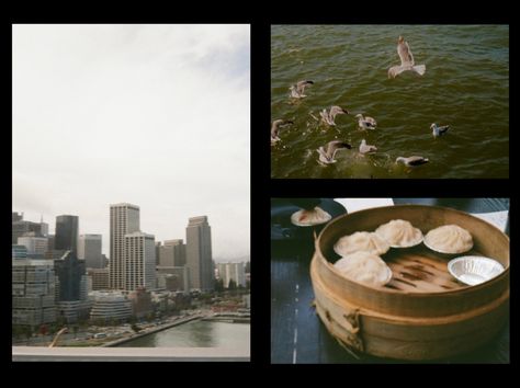 three photos taken in san francisco. one is the skyline, top right: birds in the water, bottom right: dim sum Kodak Gold 200 35mm Film Photos, Kodak M38 Pictures, Half Frame Film Photography, Kodak Ektar H35 Photos, Kodak Gold Film, Half Frame Film, Kodak Ektar H35, Ektar H35, Kodak Ektar