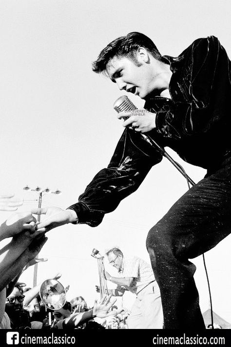 Elvis Presley, 1956 (via Cinema Classico on Facebook) Elvis Tupelo 1956, Elvis Performing, Elvis Tcb, Elvis Presley Wallpaper, Elvis Wallpaper, Elvis Presley Graceland, Elvis In Concert, Young Elvis, Very Important Person