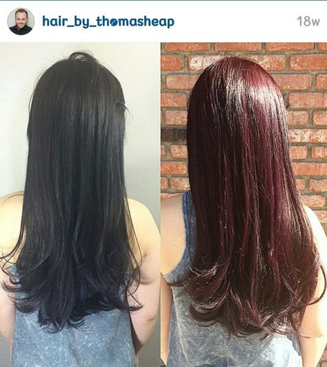 Dark Black Cherry Hair Short Color, Hair Color Flamboyage, Hair Color Blonde Highlights, Autumn Hair, Creative Hair Color, Dark Red Hair, Hair Color Crazy, Blonde Haircuts, Creative Hair