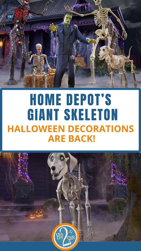 HURRY! Home Depot’s Giant Skeleton Halloween Decorations are BACK Skeleton Halloween Decorations, Home Depot Halloween, Best Halloween Decorations, Giant Skeleton, Witch Silhouette, Halloween Skeleton Decorations, Dog Skeleton, Giant Dogs, Fun Halloween Decor