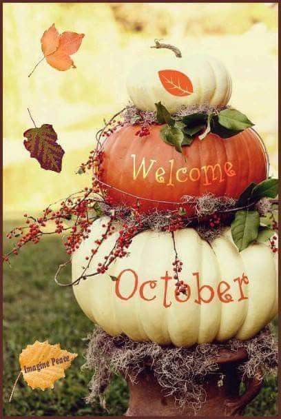 Hello October Images, January Images, October Images, October Pictures, Neuer Monat, Good Monday Morning, First Day Of Autumn, Seasons Months, Hello July