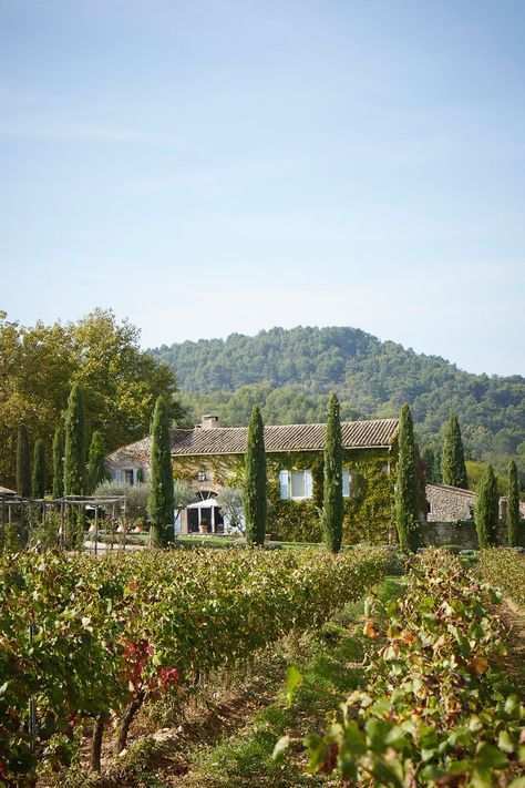 Jocelyne Sibuet, France | Small Luxury Hotels | House & Garden Italian Vineyard, Vineyard House, Hotels In France, Houses In France, Italian Countryside, Italy Aesthetic, Countryside House, Food And Travel, French Countryside