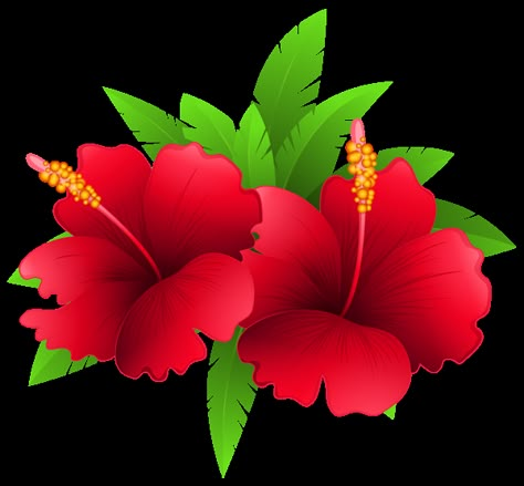 Plant Png, Hd Flower Wallpaper, Wallpaper Photo Gallery, Flowers Png, मोबाइल वॉलपेपर, Banner Background Images, Unusual Flowers, Tropical Art, Free Clipart