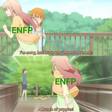 😜 ENFP Memes every day on Instagram: “Follow @enfpmemesdaily for your daily dose of relatable ENFP memes 😎 credit: u/Abigailgomez22 via r/ENFPmemes Follow the fam 🔥…” Enfp Meme, 16 Personalities Enfp, Enfp Core, Infp Entp, Enfp And Infj, Personalidad Enfp, Intj Enfp, 16 Personality Types, The 16 Personality Types