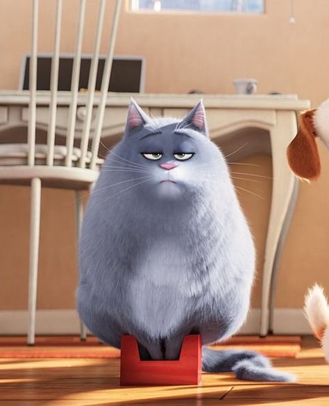 Chloe is a dog from The Secret Life of Pets. Secret Life Of Pets, Purple Cat, 2 Movie, Secret Life, Dear God, Life Changes, The Secret, Chloe