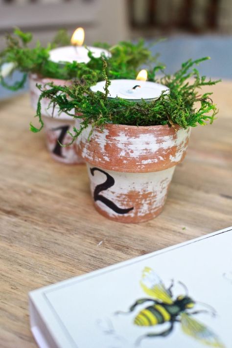 Citronella Candles in Mini Terra Cotta Clay Pots. Mini terra cotta pots, distressed and numbered in French script. Diy Citronella Candles Mason Jars, Mason Jar Citronella Candles, Mini Clay Pots, Cozy Candlelight, Aging Terra Cotta Pots, Small Clay Pot, Homemade Chalk, Terra Cotta Clay Pots, Mini Clay