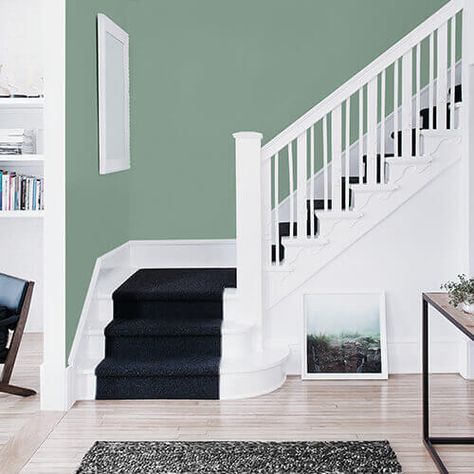 Color Of The Year - Paradise Found Trendy Paint Colors, Eco Friendly Flooring, Trending Paint Colors, Pantone Colors, Paint Companies, Paint Brands, Living Room Colors, Wall Ideas, Paint Ideas