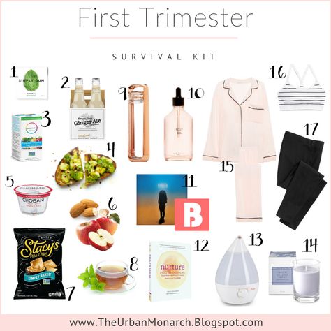 First Trimester Survival Kit, First Trimester Care Package, First Trimester Essentials, Pregnancy Survival Kit For Mom, Pregnancy Basket, Pregnancy Survival Kit, Pregnancy Safe Skin Care, Pregnancy Gift Baskets, Pregnant Life