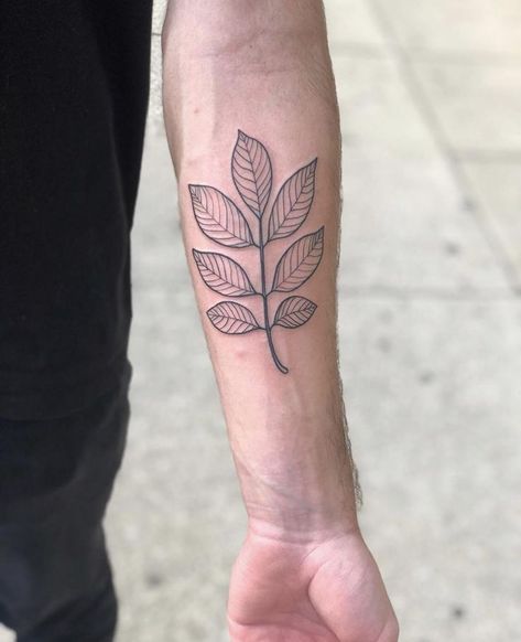 Ash Leaves, Ash Leaf, Tattoo White, Leaf Tattoo, Prison Tattoos, R Tattoo, White Ash, Smart Auto, Bowling Green