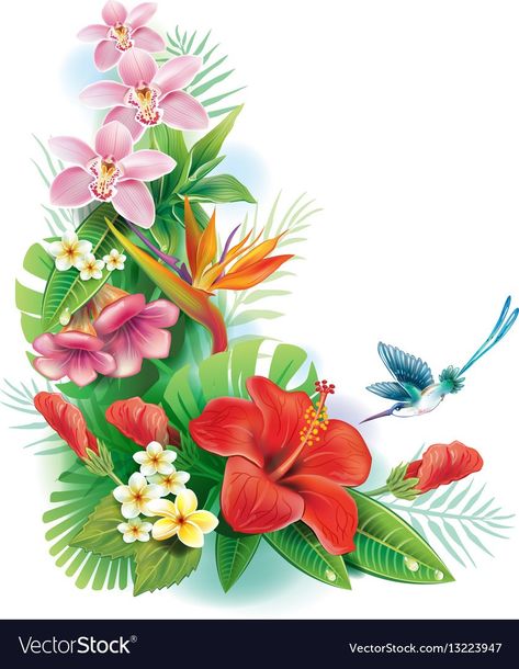 Tropical Flowers Illustration, Christmas Clipart Free, Alice In Wonderland Clipart, Flower Clipart Png, Tropical Flower Arrangements, Tropical Illustration, Floral Wreath Design, Free Clipart Images, Cute Animal Clipart