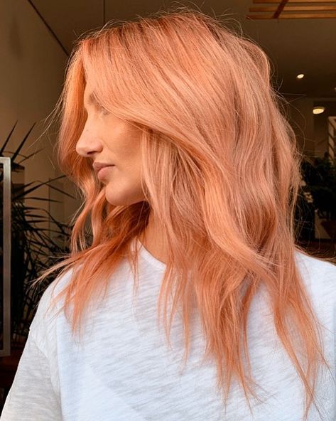 Peachy Hair Color, Peachy Pink Hair, Peach Hair Dye, Peach Hair Color, Apricot Hair, Peach Hair Colors, Coral Hair, Hair Color Orange, Peach Hair