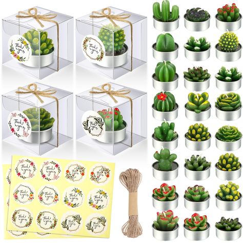 Plant Party Favors, Fiesta Party Favors, Decor Spa, Cactus Candles, Succulents Candles, Candle Plant, Plant Party, Fiesta Birthday, Tealight Candles