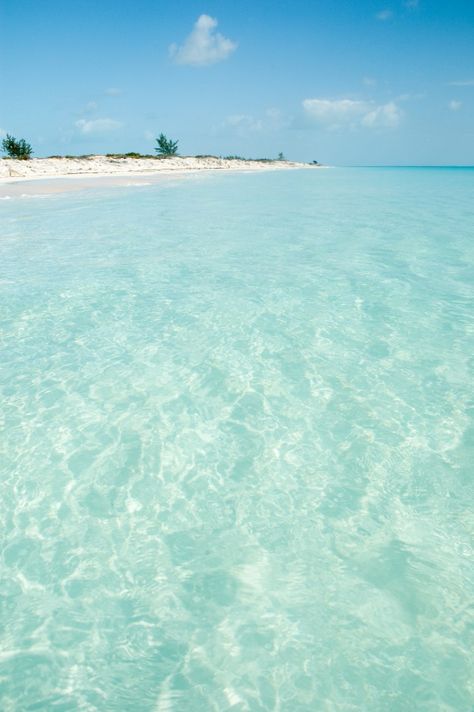 Caribbean beach with crystal-clear water... | Premium Photo #Freepik #photo #water #summer #nature #beach Water Beach Wallpaper, Clear Water Aesthetic, Cassidy Aesthetic, Beach Water Aesthetic, Relax Pictures, Beach Clear Water, Clear Water Beaches, Clear Water Beach, Vacation Background