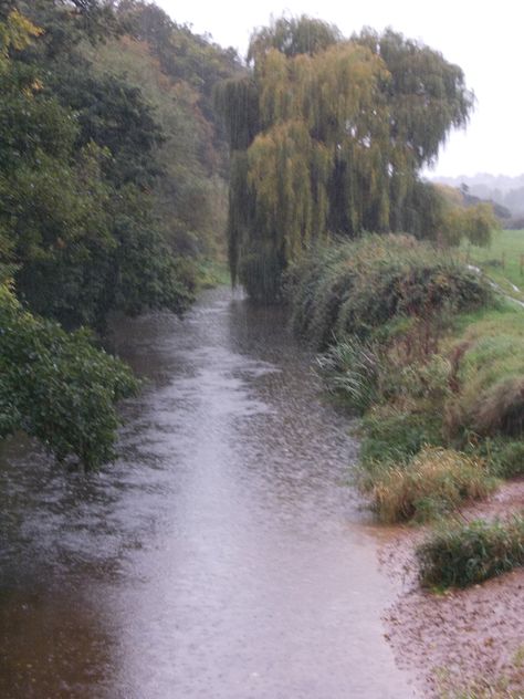 The beautiful River Otter on a rainy October afternoon Rainy October, Rainy River, Fleet Foxes, Beautiful River, October Afternoon, River Otter, Yorkshire England, Otters, Devon