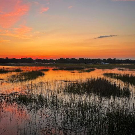 Views of the Lowcountry – 22 New Photographic Images of Charleston, SC - Charleston Daily Island Sunset, Beautiful Skies, Beard Styles For Men, Low Country, Beautiful Sky, Charleston Sc, The Natural, Charleston, Natural Beauty