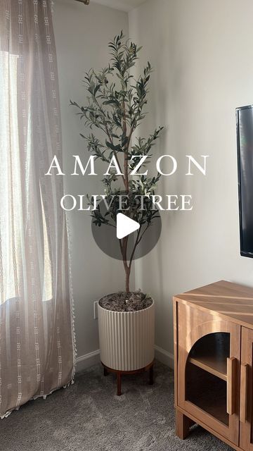 Kimberly Burke on Instagram: "LOVE how this little corner of my loft turned out! 🤩 How Beautiful and Realistic is this Olive Tree 🫒🕊️ 

This gorgeous fluted Planter is the perfect neutral color and the wood stand was so easy to put together. & I’m blown away by the quality, detail and color of the Artifical olive tree. The dark green leaves and natural wood trunk looks So Realistic & I CANNOT believe it’s under $50 Right Now! 

Comment HOME & I’ll message you the 🔗

#amazonhomemusthaves2024 #foryou #amazonhome #amazonfavorites #asmr #myfavoritethings #amazonprime #amazon #Itkunder100 #Itkunder50 #Itkhome #homedecor #olivetree #homedecorideas" Fluted Planter, Lakeside House, Dark Green Leaves, Wood Trunk, Olive Tree, Amazon Home, Wood Stand, Neutral Color, How Beautiful