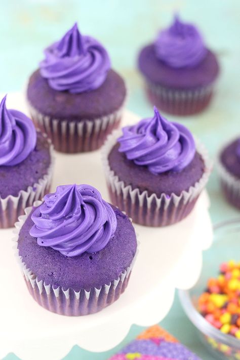 Purple Icing Cupcakes, Purple Muffins, Purple Cupcakes Ideas, Purple Foods For Party, Wensday Cake, Purple Velvet Cupcakes, Booze Cupcakes, Ube Cupcakes, Light Cupcakes