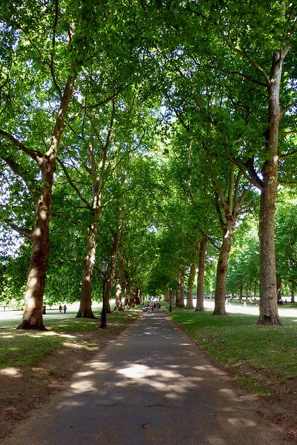 Green park London England | Chris | Flickr Green Park London, Zepeto Park Background, Conceptual Photo, Girl Iphone Wallpaper, New Things To Try, Dream Date, Bokeh Background, London Park, Green Park