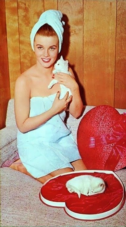 Ann Margret International Cat Day, Monday Inspiration, Ann Margret, Vintage Valentine Cards, My Funny Valentine, Actrices Hollywood, Beauty Dress, Cat People, Beauty Icons