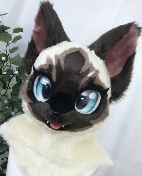 Fursuits for sale. Contact us on WhatsApp+1(848)3057832 Fursuits For Sale, Cat Fursuit, Fursona Ideas, Fursuit Tutorial, Kemono Fursuit, Dino Mask, Cute Fursuits, Fursuit Ideas, Fur Suits