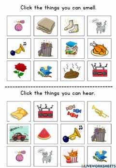 Senses Language: English Grade/level: PRESCHOOL School subject: Science Main content: Five senses Other contents: FIVE SENSES Solar System Song, Science Food Chains, Landforms And Bodies Of Water, Body Parts For Kids, States Of Matter Worksheet, Excretory System, Matter Worksheets, Plants Unit, Force And Motion